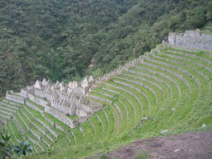 Wiñay Wayna Ruins Wiñay Wayna Ruins